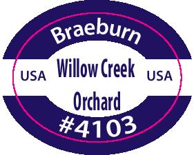 Braeburn Apple PLU labels 4103